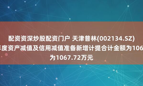 配资资深炒股配资门户 天津普林(002134.SZ)：2024年度资产减值及信用减值准备新增计提合计金额为1067.72万元