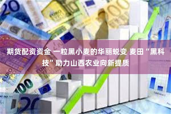 期货配资资金 一粒黑小麦的华丽蜕变 麦田“黑科技”助力山西农业向新提质
