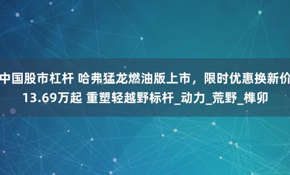 中国股市杠杆 哈弗猛龙燃油版上市，限时优惠换新价13.69万起 重塑轻越野标杆_动力_荒野_榫卯