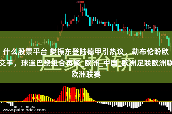 什么股票平台 樊振东登陆德甲引热议，勒布伦盼欧冠交手，球迷巴黎组合再聚_欧洲_中国_欧洲足联欧洲联赛