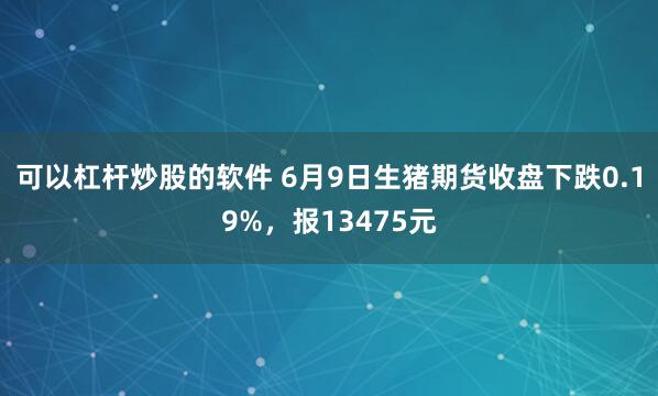 可以杠杆炒股的软件 6月9日生猪期货收盘下跌0.19%，报13475元